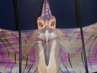 Illustration for article titled Drunk Museum Review: Why You Shouldn't Drink And Fly A Pterosaur